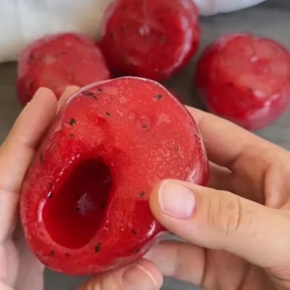 Watermelon Slushy Squishy Toy